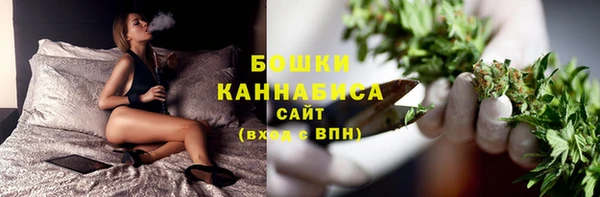 spice Аркадак