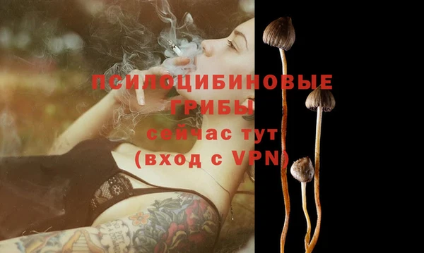 эйфоретик Арсеньев