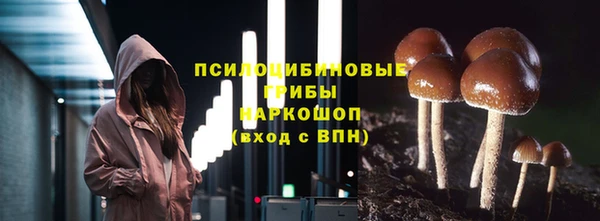 эйфоретик Арсеньев