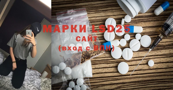 spice Аркадак