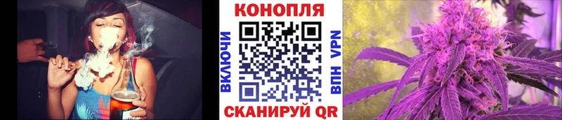 даркнет как зайти  Жуков  Марихуана план 